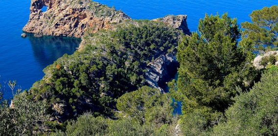 corsica, l'ile de beauté