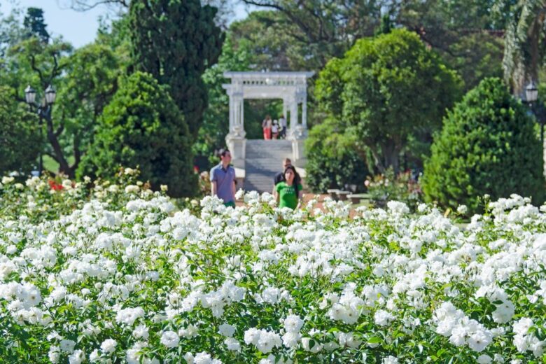 Où partir en Amérique du Sud en novembre en famille?